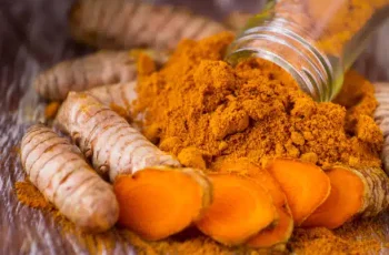 Natural Blood Cleansing Remedies to Support Recovery from Vaccine-Related Symptoms